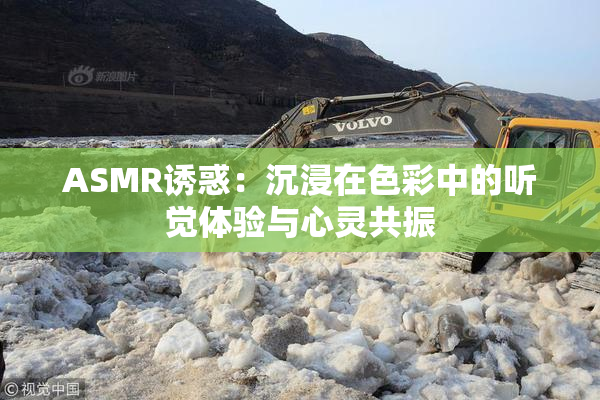 ASMR诱惑：沉浸在色彩中的听觉体验与心灵共振
