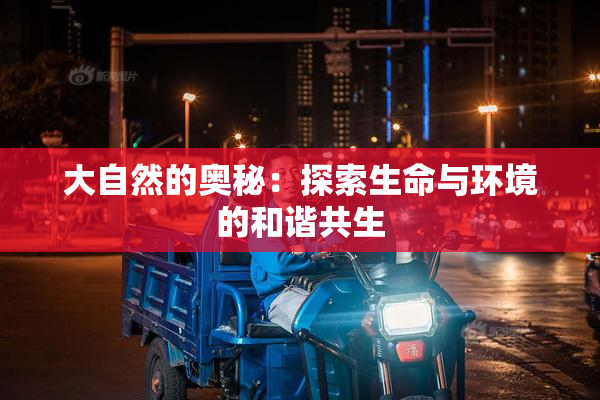 大自然的奥秘：探索生命与环境的和谐共生