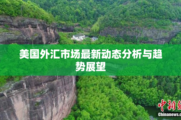 美国外汇市场最新动态分析与趋势展望