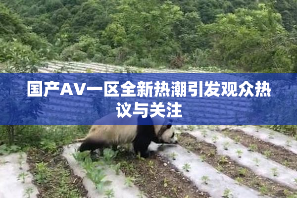 国产AV一区全新热潮引发观众热议与关注