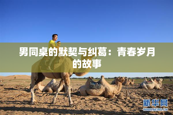 男同桌的默契与纠葛：青春岁月的故事