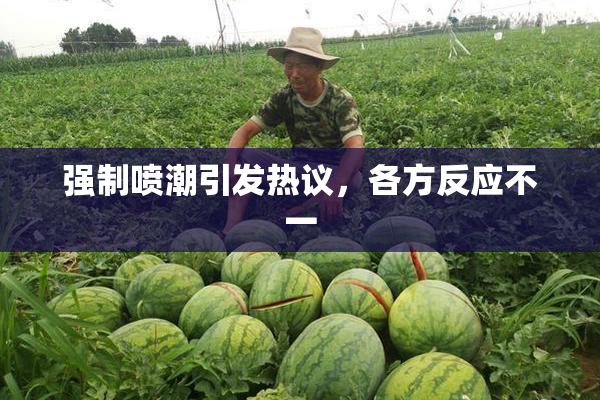 强制喷潮引发热议，各方反应不一