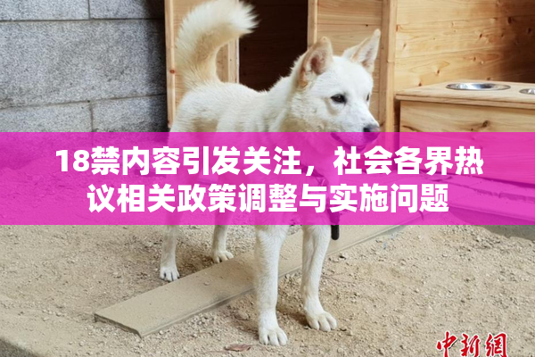 18禁内容引发关注，社会各界热议相关政策调整与实施问题