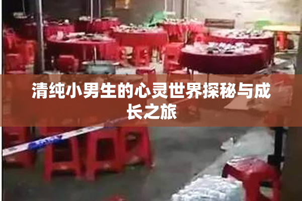清纯小男生的心灵世界探秘与成长之旅