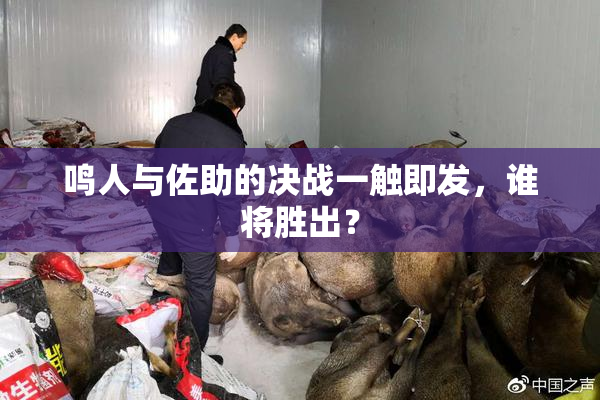 鸣人与佐助的决战一触即发，谁将胜出？