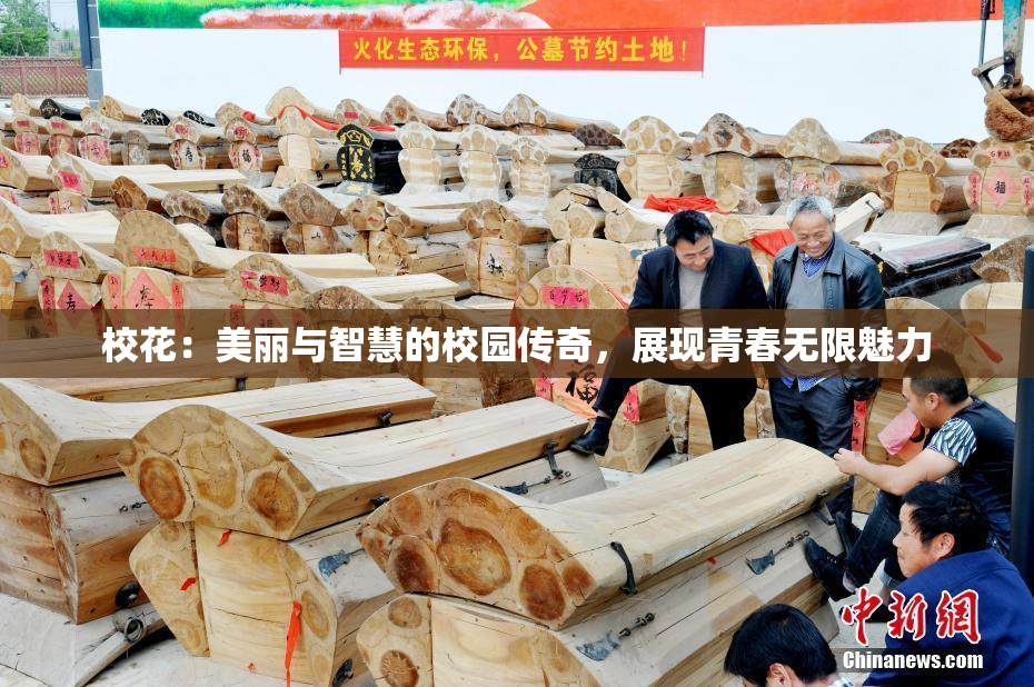 校花：美丽与智慧的校园传奇，展现青春无限魅力