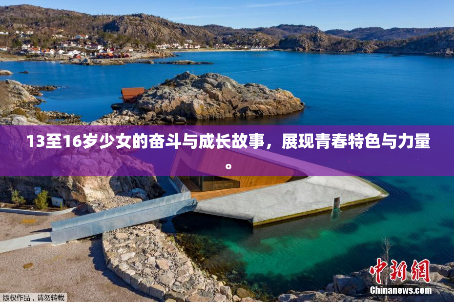 13至16岁少女的奋斗与成长故事，展现青春特色与力量。