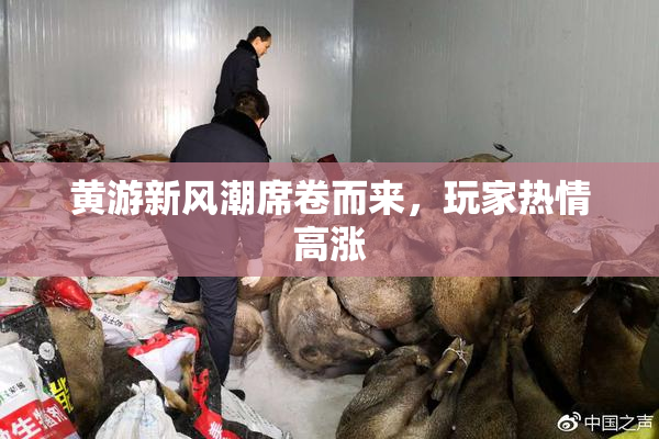 黄游新风潮席卷而来，玩家热情高涨