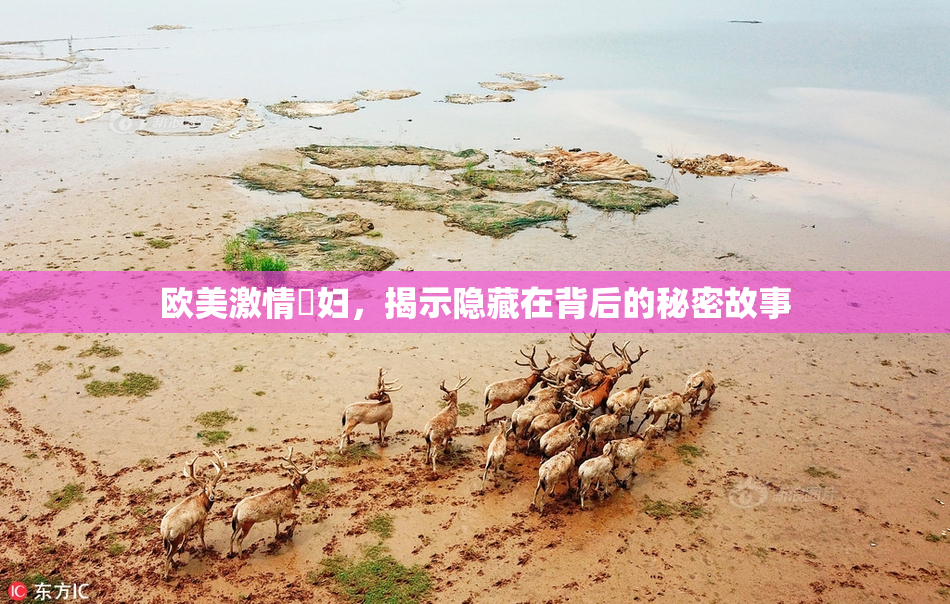 欧美激情婬妇，揭示隐藏在背后的秘密故事