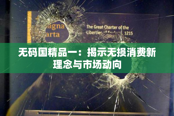 无码国精品一：揭示无损消费新理念与市场动向