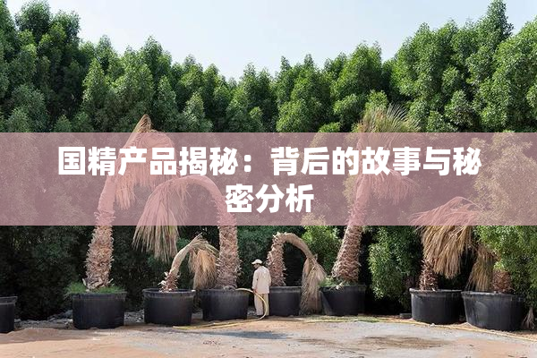 国精产品揭秘：背后的故事与秘密分析