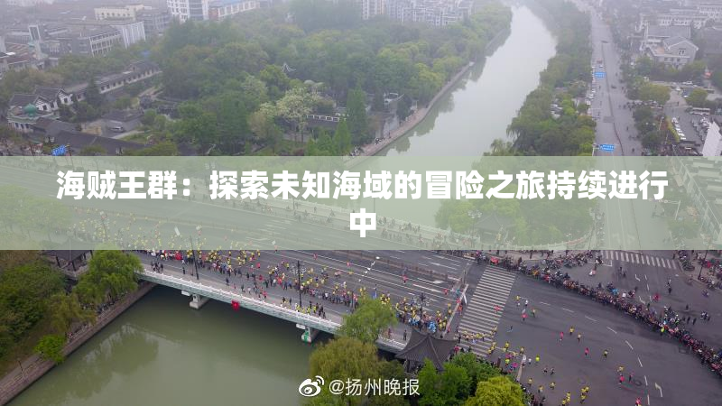 海贼王群：探索未知海域的冒险之旅持续进行中