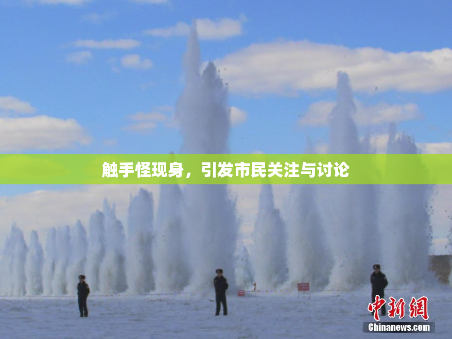 触手怪现身，引发市民关注与讨论