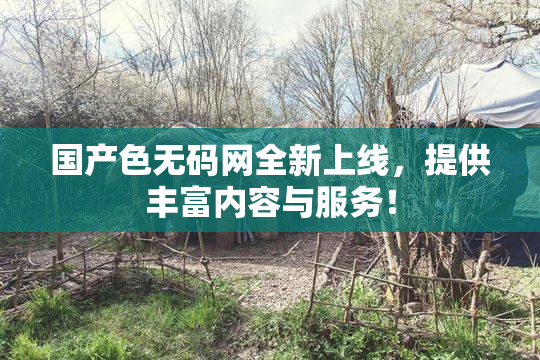 国产色无码网全新上线，提供丰富内容与服务！