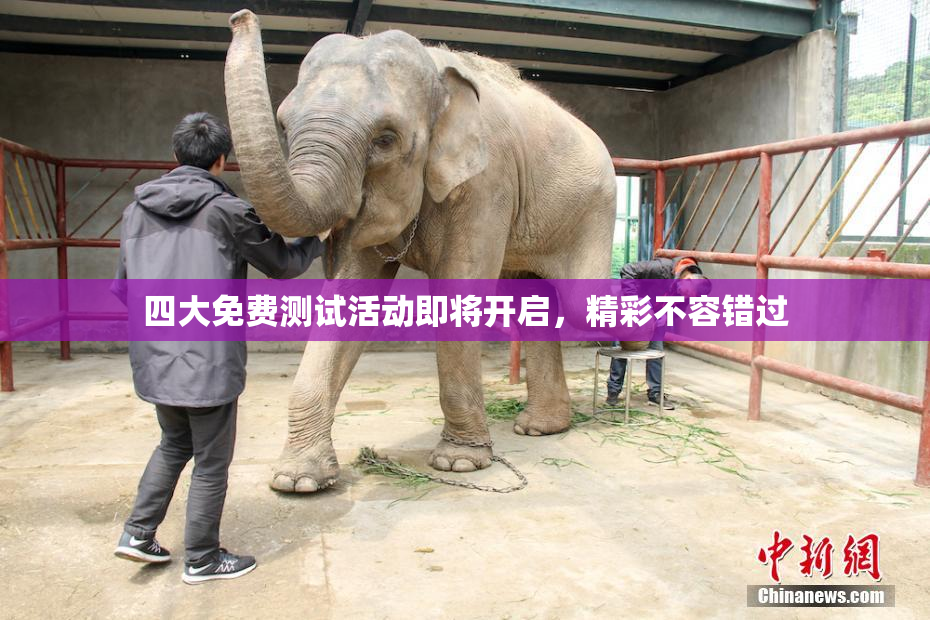 四大免费测试活动即将开启，精彩不容错过