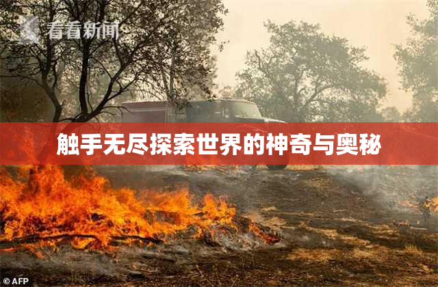触手无尽探索世界的神奇与奥秘