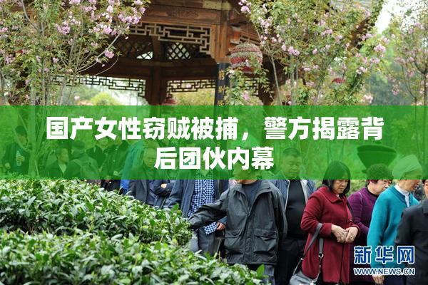 国产女性窃贼被捕，警方揭露背后团伙内幕