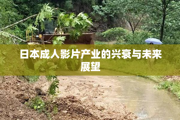 日本成人影片产业的兴衰与未来展望