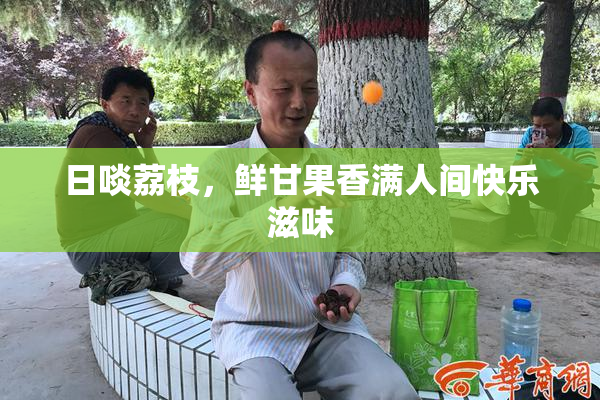 日啖荔枝，鲜甘果香满人间快乐滋味