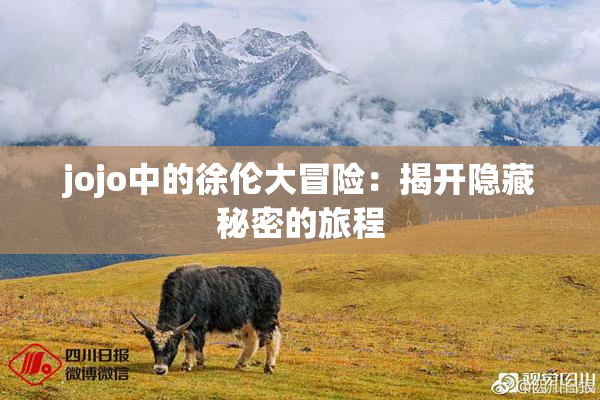 jojo中的徐伦大冒险：揭开隐藏秘密的旅程