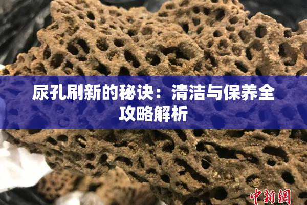 尿孔刷新的秘诀：清洁与保养全攻略解析
