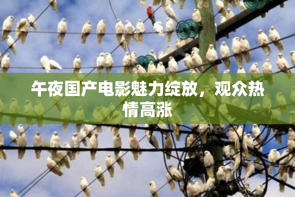 午夜国产电影魅力绽放，观众热情高涨
