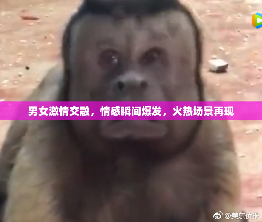 男女激情交融，情感瞬间爆发，火热场景再现