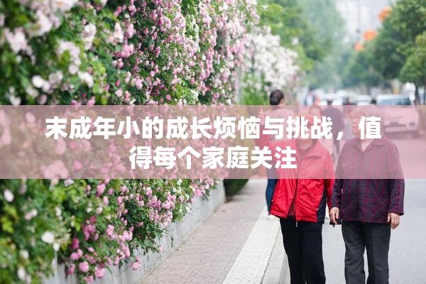 末成年小的成长烦恼与挑战，值得每个家庭关注