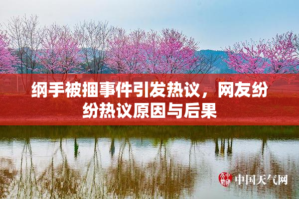 纲手被捆事件引发热议，网友纷纷热议原因与后果