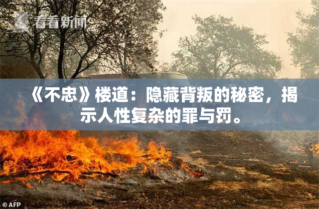 《不忠》楼道：隐藏背叛的秘密，揭示人性复杂的罪与罚。