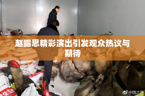 赵露思精彩演出引发观众热议与期待
