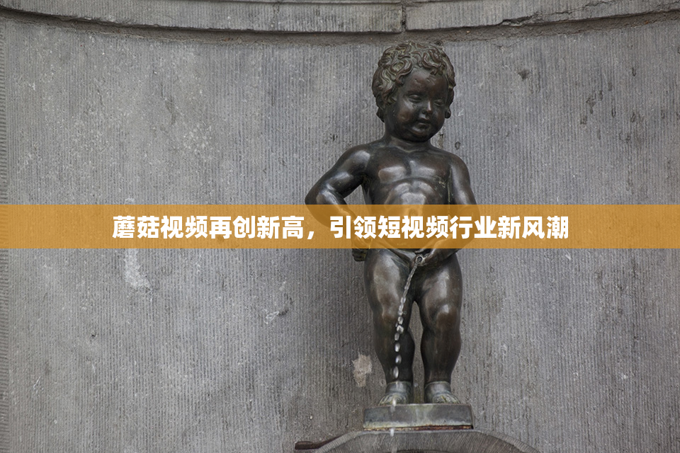 蘑菇视频再创新高，引领短视频行业新风潮