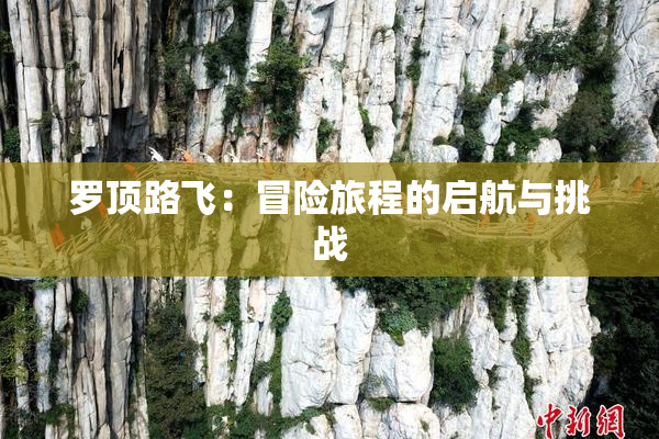 罗顶路飞：冒险旅程的启航与挑战