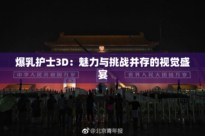 爆乳护士3D：魅力与挑战并存的视觉盛宴