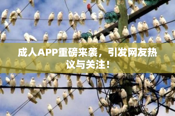 成人APP重磅来袭，引发网友热议与关注！