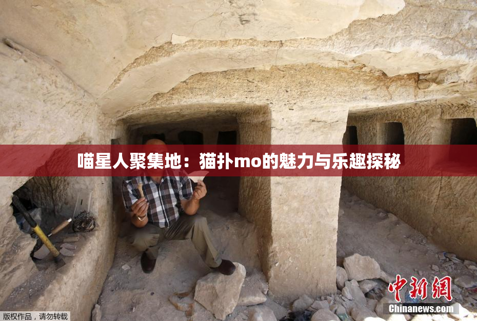 喵星人聚集地：猫扑mo的魅力与乐趣探秘