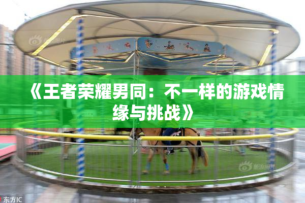 《王者荣耀男同：不一样的游戏情缘与挑战》