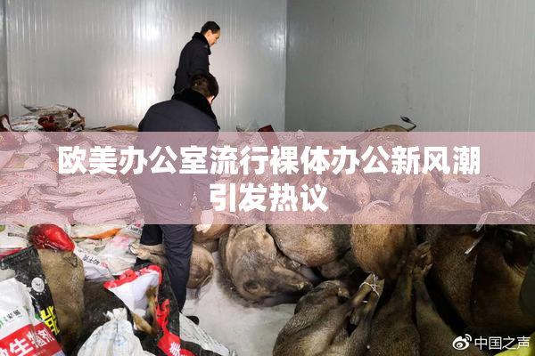 欧美办公室流行裸体办公新风潮引发热议