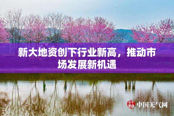 新大地资创下行业新高，推动市场发展新机遇