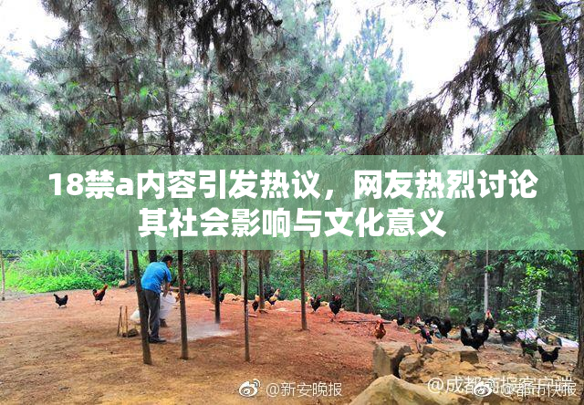 18禁a内容引发热议，网友热烈讨论其社会影响与文化意义