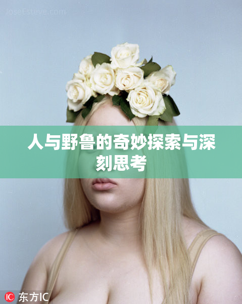 人与野鲁的奇妙探索与深刻思考