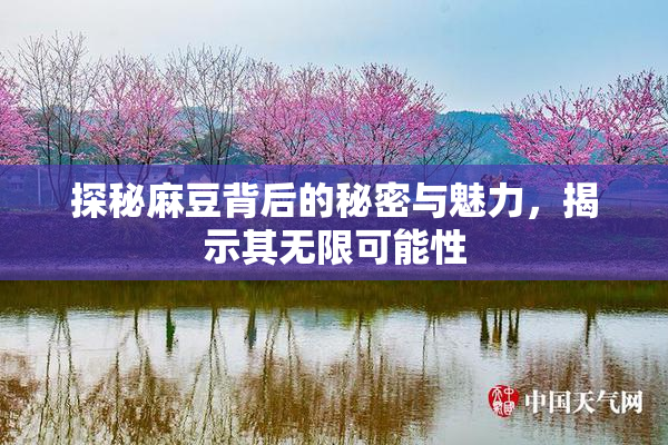 探秘麻豆背后的秘密与魅力，揭示其无限可能性