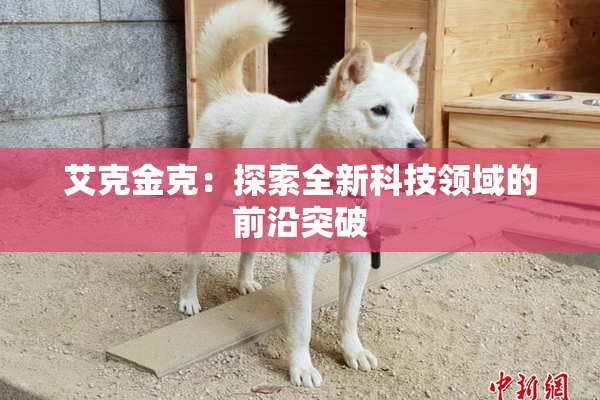 艾克金克：探索全新科技领域的前沿突破