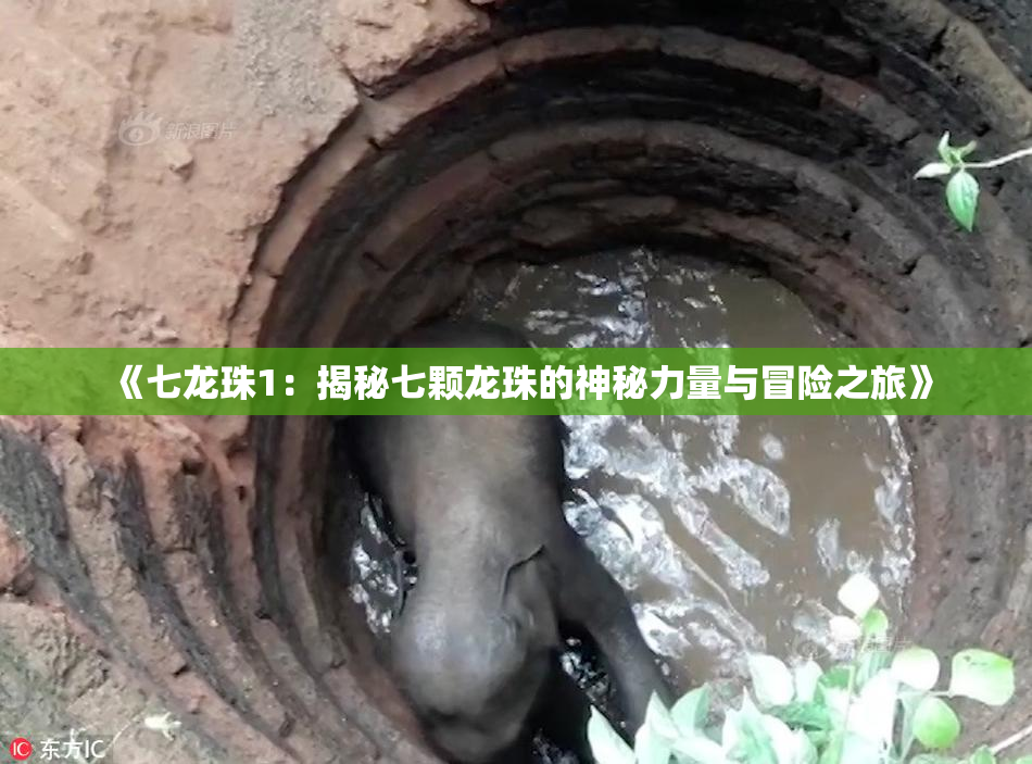 《七龙珠1：揭秘七颗龙珠的神秘力量与冒险之旅》
