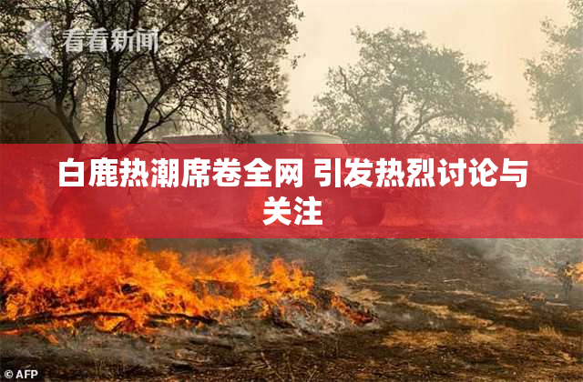 白鹿热潮席卷全网 引发热烈讨论与关注