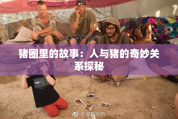 猪圈里的故事：人与猪的奇妙关系探秘
