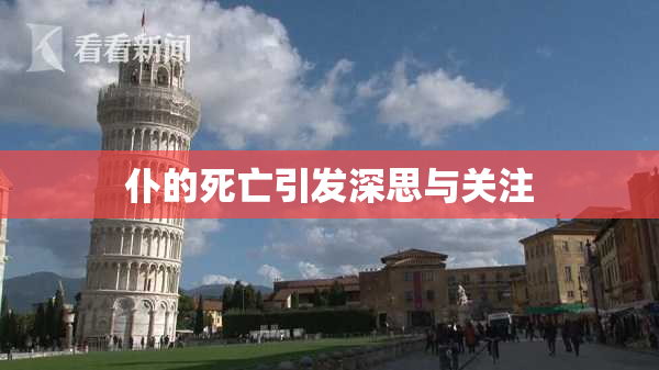 仆的死亡引发深思与关注