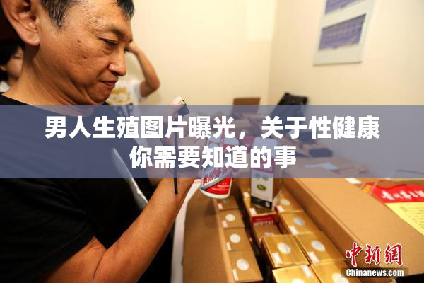 男人生殖图片曝光，关于性健康你需要知道的事