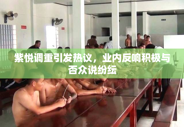 紫悦调重引发热议，业内反响积极与否众说纷纭