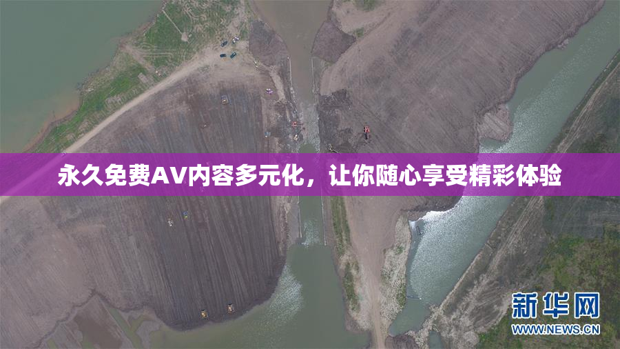 永久免费AV内容多元化，让你随心享受精彩体验